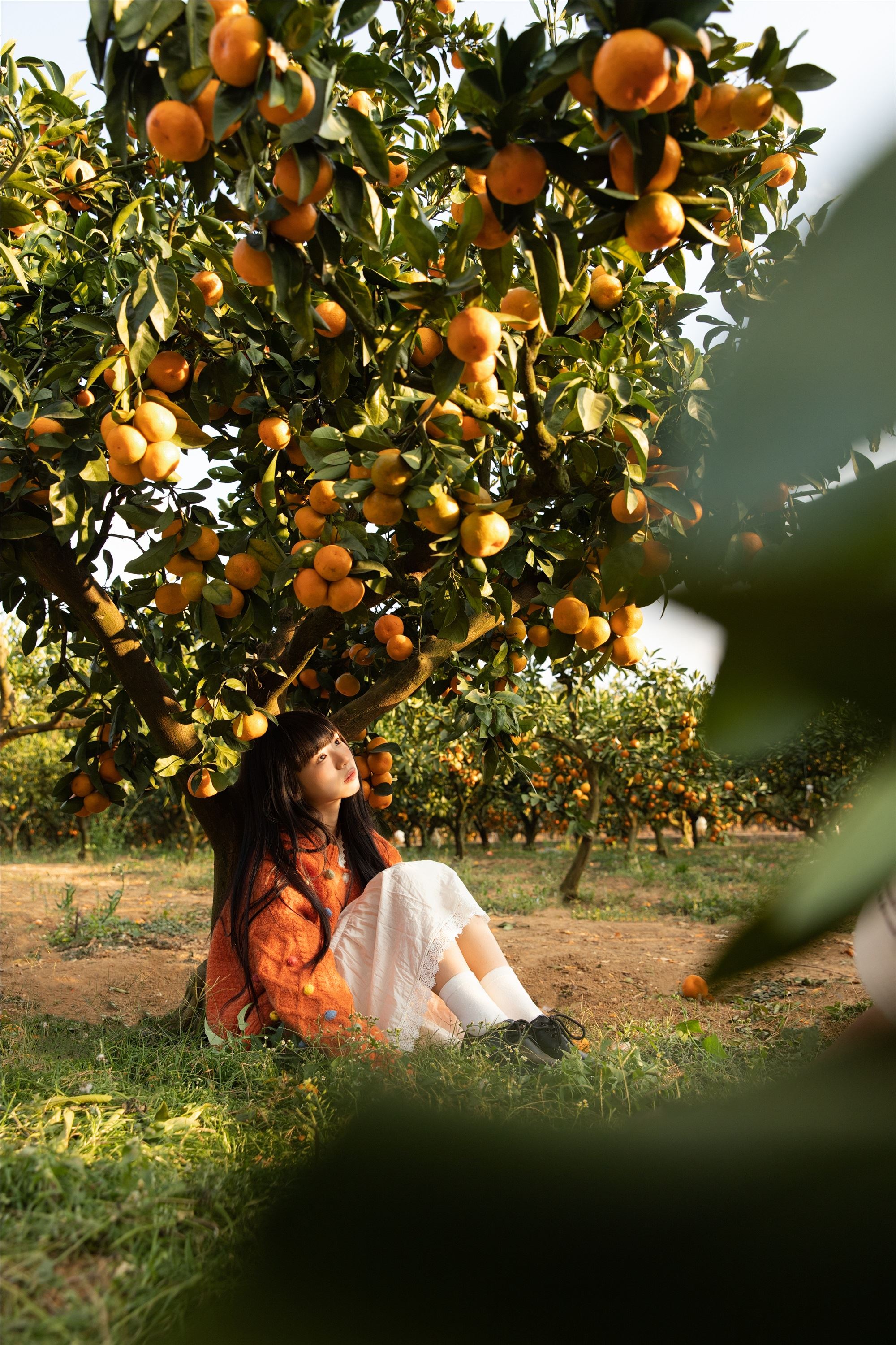 YITUYU艺图语 2025.02.03 橘子辉煌 是三金呀